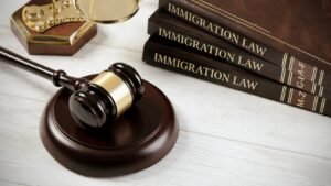 Preparación y Expectativas: Tu Primera Reunión con un Abogado de Inmigración.