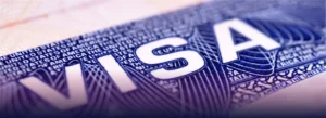 visa-TN
